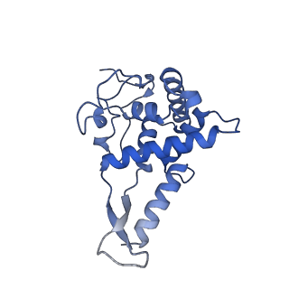 17367_8p2k_Ae_v1-1
Ternary complex of translating ribosome, NAC and METAP1