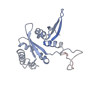 17367_8p2k_Ag_v1-1
Ternary complex of translating ribosome, NAC and METAP1