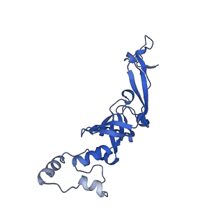 17367_8p2k_Ah_v1-1
Ternary complex of translating ribosome, NAC and METAP1