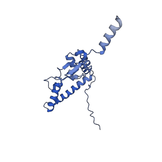 17367_8p2k_Ai_v1-1
Ternary complex of translating ribosome, NAC and METAP1