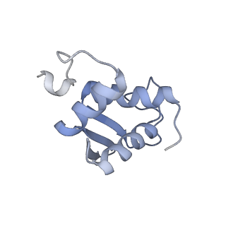 17367_8p2k_Aj_v1-1
Ternary complex of translating ribosome, NAC and METAP1