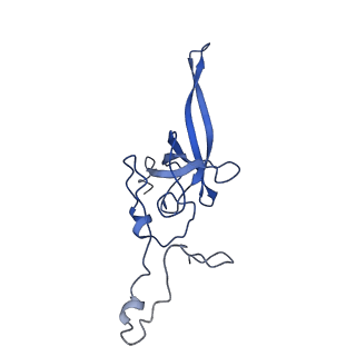 17367_8p2k_Ak_v1-1
Ternary complex of translating ribosome, NAC and METAP1