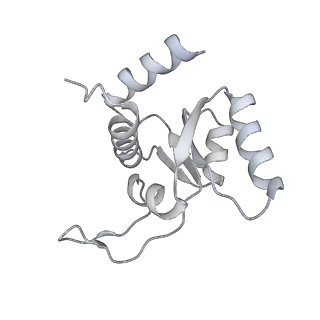 17367_8p2k_Al_v1-1
Ternary complex of translating ribosome, NAC and METAP1