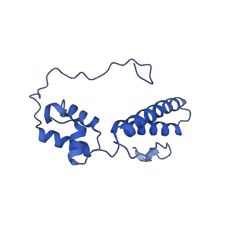 17367_8p2k_Am_v1-1
Ternary complex of translating ribosome, NAC and METAP1