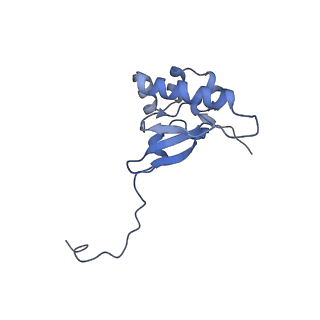 17367_8p2k_Ao_v1-1
Ternary complex of translating ribosome, NAC and METAP1