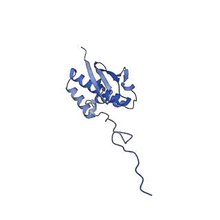 17367_8p2k_Ap_v1-1
Ternary complex of translating ribosome, NAC and METAP1