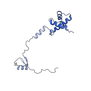 17367_8p2k_Aq_v1-1
Ternary complex of translating ribosome, NAC and METAP1