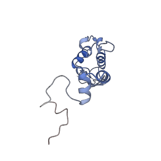 17367_8p2k_Ar_v1-1
Ternary complex of translating ribosome, NAC and METAP1