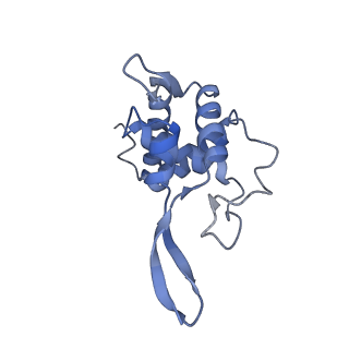 17367_8p2k_As_v1-1
Ternary complex of translating ribosome, NAC and METAP1