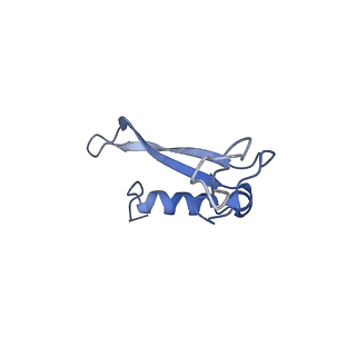 17367_8p2k_Au_v1-1
Ternary complex of translating ribosome, NAC and METAP1