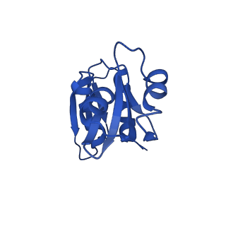 17367_8p2k_Av_v1-1
Ternary complex of translating ribosome, NAC and METAP1