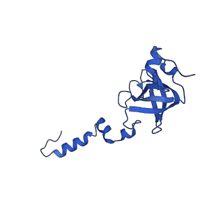17367_8p2k_Aw_v1-1
Ternary complex of translating ribosome, NAC and METAP1