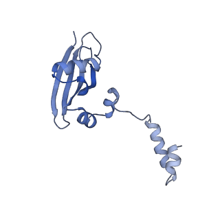17367_8p2k_Ax_v1-1
Ternary complex of translating ribosome, NAC and METAP1
