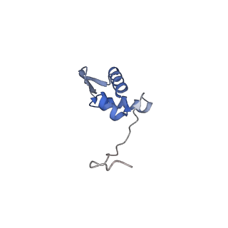 17367_8p2k_Ay_v1-1
Ternary complex of translating ribosome, NAC and METAP1