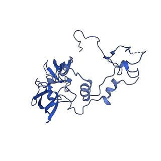 17367_8p2k_BA_v1-1
Ternary complex of translating ribosome, NAC and METAP1
