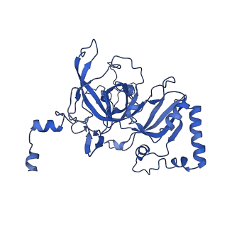 17367_8p2k_BB_v1-1
Ternary complex of translating ribosome, NAC and METAP1
