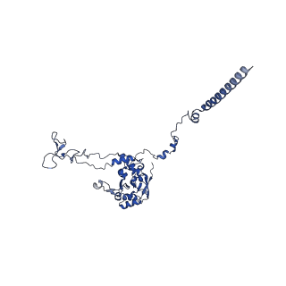 17367_8p2k_BC_v1-1
Ternary complex of translating ribosome, NAC and METAP1