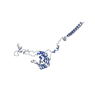 17367_8p2k_BC_v2-0
Ternary complex of translating ribosome, NAC and METAP1
