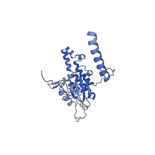 17367_8p2k_BD_v1-1
Ternary complex of translating ribosome, NAC and METAP1