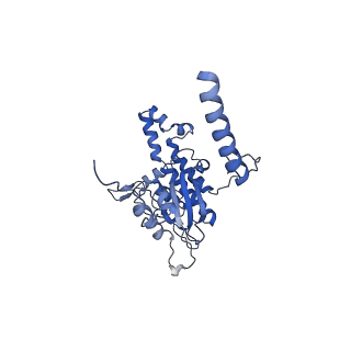 17367_8p2k_BD_v2-0
Ternary complex of translating ribosome, NAC and METAP1