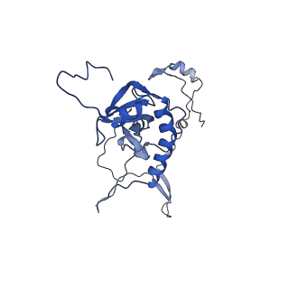 17367_8p2k_BE_v1-1
Ternary complex of translating ribosome, NAC and METAP1