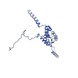 17367_8p2k_BG_v1-1
Ternary complex of translating ribosome, NAC and METAP1