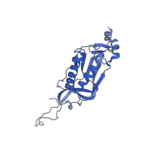 17367_8p2k_BI_v1-1
Ternary complex of translating ribosome, NAC and METAP1