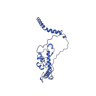 17367_8p2k_BL_v1-1
Ternary complex of translating ribosome, NAC and METAP1