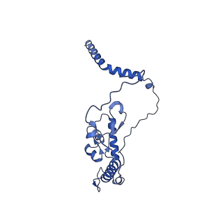 17367_8p2k_BL_v2-0
Ternary complex of translating ribosome, NAC and METAP1