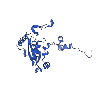 17367_8p2k_BN_v1-1
Ternary complex of translating ribosome, NAC and METAP1