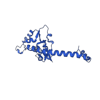 17367_8p2k_BO_v1-1
Ternary complex of translating ribosome, NAC and METAP1