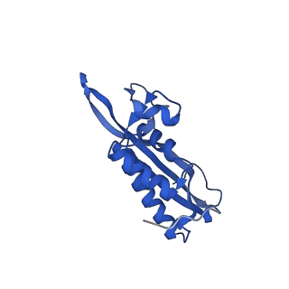 17367_8p2k_BP_v1-1
Ternary complex of translating ribosome, NAC and METAP1