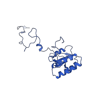 17367_8p2k_BQ_v1-1
Ternary complex of translating ribosome, NAC and METAP1