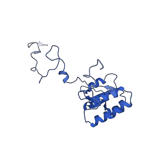 17367_8p2k_BQ_v2-0
Ternary complex of translating ribosome, NAC and METAP1