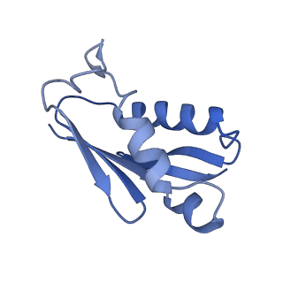 17367_8p2k_BU_v1-1
Ternary complex of translating ribosome, NAC and METAP1