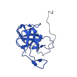 17367_8p2k_BV_v1-1
Ternary complex of translating ribosome, NAC and METAP1