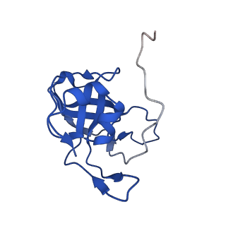 17367_8p2k_BV_v2-0
Ternary complex of translating ribosome, NAC and METAP1