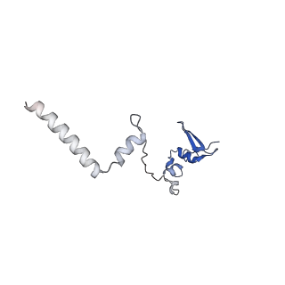 17367_8p2k_BW_v1-1
Ternary complex of translating ribosome, NAC and METAP1