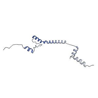 17367_8p2k_Bb_v1-1
Ternary complex of translating ribosome, NAC and METAP1