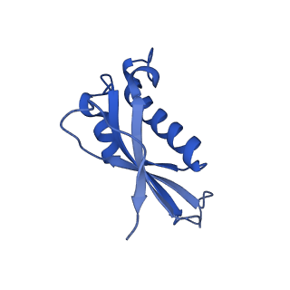 17367_8p2k_Bd_v1-1
Ternary complex of translating ribosome, NAC and METAP1