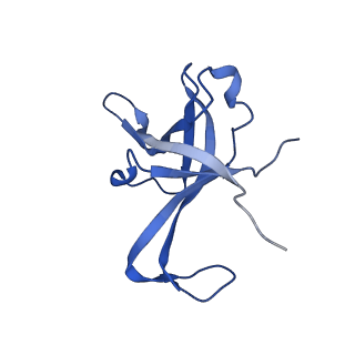17367_8p2k_Bf_v1-1
Ternary complex of translating ribosome, NAC and METAP1