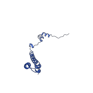 17367_8p2k_Bh_v1-1
Ternary complex of translating ribosome, NAC and METAP1