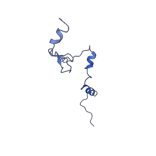 17367_8p2k_Bj_v1-1
Ternary complex of translating ribosome, NAC and METAP1