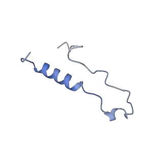 17367_8p2k_Bl_v1-1
Ternary complex of translating ribosome, NAC and METAP1
