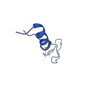 17367_8p2k_Bm_v1-1
Ternary complex of translating ribosome, NAC and METAP1
