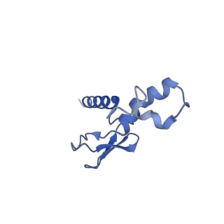 17367_8p2k_Bp_v1-1
Ternary complex of translating ribosome, NAC and METAP1