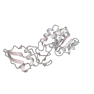 17367_8p2k_Bs_v1-1
Ternary complex of translating ribosome, NAC and METAP1