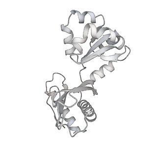 17367_8p2k_Bv_v1-1
Ternary complex of translating ribosome, NAC and METAP1