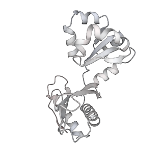 17367_8p2k_Bv_v2-0
Ternary complex of translating ribosome, NAC and METAP1