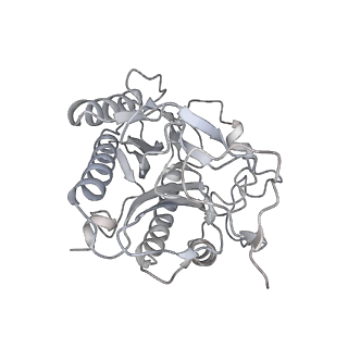 17367_8p2k_MA_v2-0
Ternary complex of translating ribosome, NAC and METAP1
